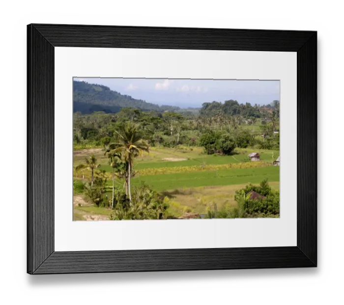 Framed Print : View of paddyfields, Surya Shanti Villa, Sidemen, Karangasem, Bali, Lesser Sunda Islands, Indonesia, April Framed Print : View of paddyfields, Surya Shanti Villa, Sidemen, Karangasem, Bali, Lesser Sunda Islands, Indonesia, April