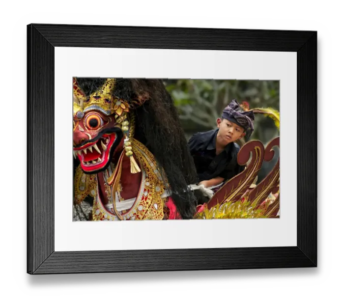 Framed Print : Young boy during cremation parade, Bali, Lesser Sunda Islands, Indonesia, July Framed Print : Young boy during cremation parade, Bali, Lesser Sunda Islands, Indonesia, July