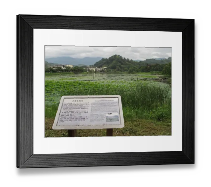 Framed Print : Manmade Ecological Pond with interpretation notice, drainage control and regional irrigation system Framed Print : Manmade Ecological Pond with interpretation notice, drainage control and regional irrigation system