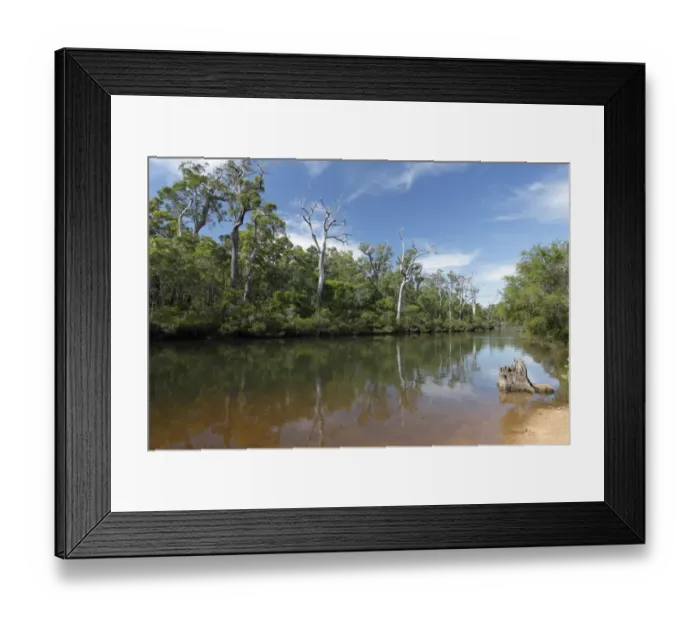 Framed Print : View of inland river section with trees reflected in water, Margaret River, Western Australia, Australia, February Framed Print : View of inland river section with trees reflected in water, Margaret River, Western Australia, Australia, February