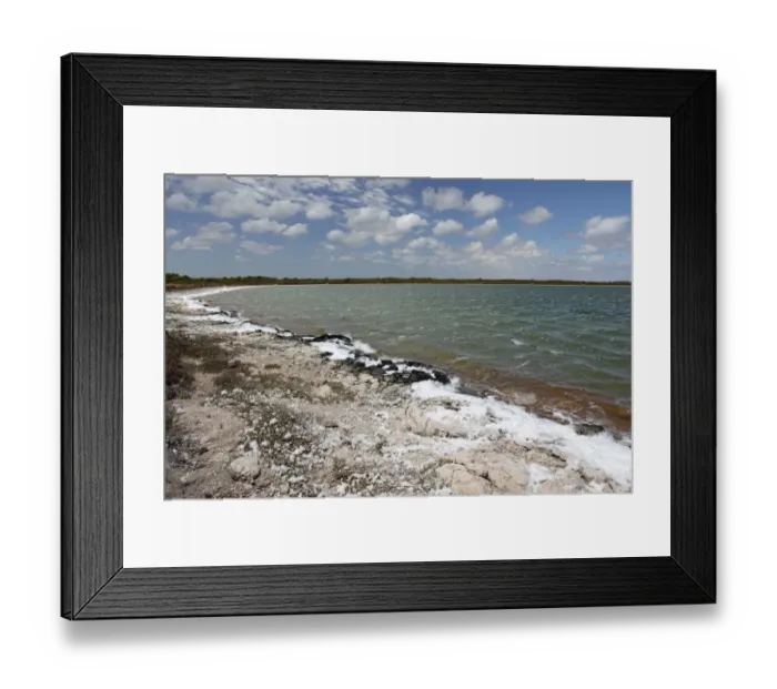 Framed Print : Foam (salt) blown onto bank of saline coastal lake, water is 1. 3 - 1. 4 times more saline than normal seawater