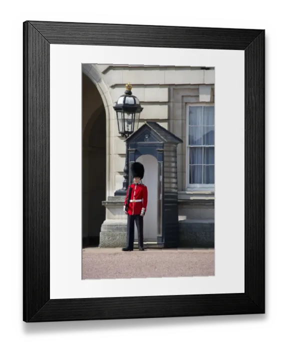 Framed Print : Scots Guards guardsman in ceremonial uniform, standing guard beside sentry-box, Buckingham Palace, City of Westminster Framed Print : Scots Guards guardsman in ceremonial uniform, standing guard beside sentry-box, Buckingham Palace, City of Westminster