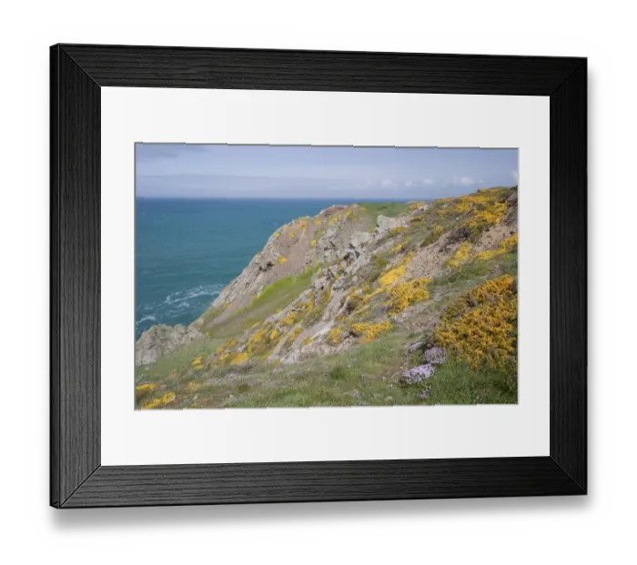 Framed Print : View of sea cliffs with spring flowers, Les Landes, Jersey, Channel Islands, May Framed Print : View of sea cliffs with spring flowers, Les Landes, Jersey, Channel Islands, May