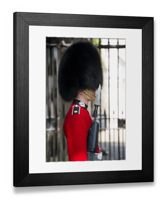 Framed Print : Scots Guards guardsman in ceremonial uniform, The Mall, City of Westminster, London, England, april Framed Print : Scots Guards guardsman in ceremonial uniform, The Mall, City of Westminster, London, England, april