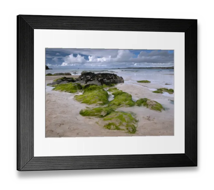 Framed Print : Seaweed and rocks on sandy beach, Newquay, Cornwall, England, August Framed Print : Seaweed and rocks on sandy beach, Newquay, Cornwall, England, August