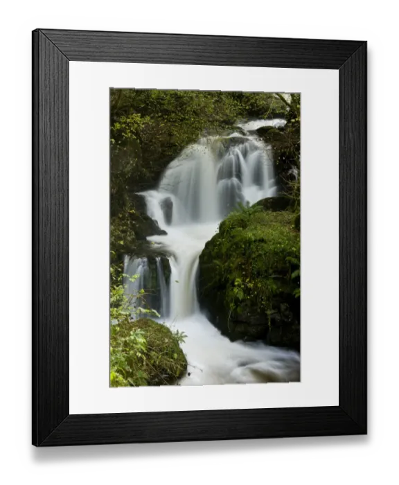 Framed Print : Waterfalls and rapids on river flowing through woodland, Farley Water (Hoar Oak Water), above Watersmeet, Exmoor N. P Framed Print : Waterfalls and rapids on river flowing through woodland, Farley Water (Hoar Oak Water), above Watersmeet, Exmoor N. P