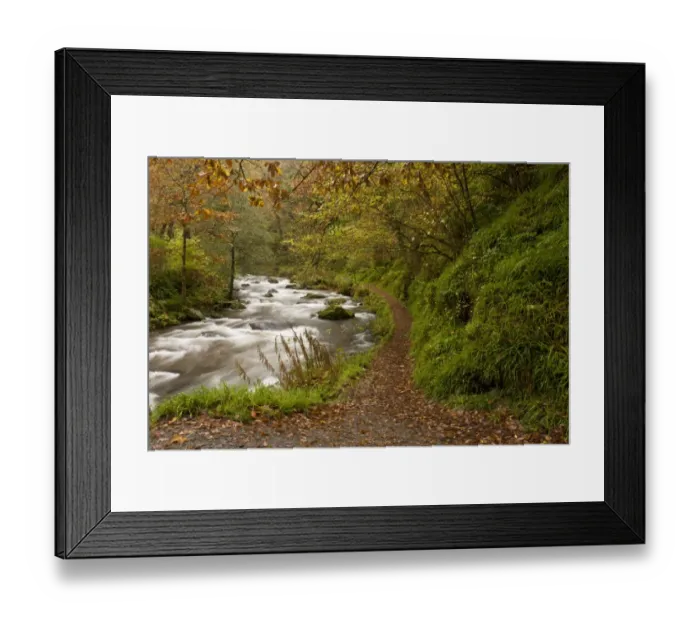 Framed Print : Path and rapids on river flowing through woodland habitat, River West Lyn, above Watersmeet, Exmoor N. P Framed Print : Path and rapids on river flowing through woodland habitat, River West Lyn, above Watersmeet, Exmoor N. P