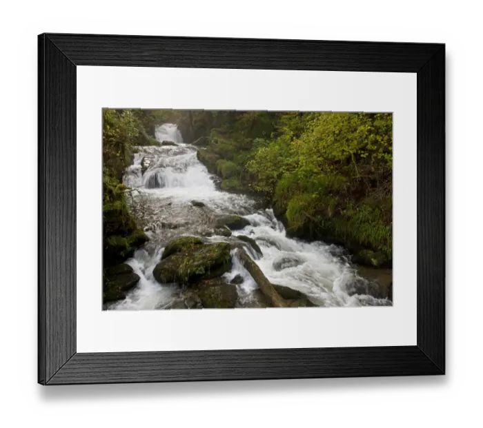 Framed Print : Waterfall, cascades and rapids on river flowing through woodland habitat, Farley Water (Hoar Oak Water) Framed Print : Waterfall, cascades and rapids on river flowing through woodland habitat, Farley Water (Hoar Oak Water)