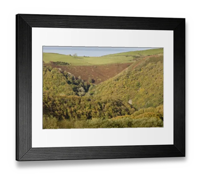 Framed Print : View of oak woodland, moorland and pasture, Lyn Valley, Watersmeet, Exmoor N. P. Devon, England, November
