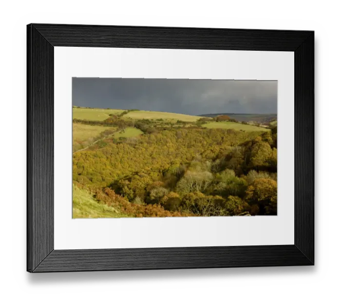 Framed Print : View of oak and beech woodland habitat, East Lyn Valley, Brendon, Exmoor N. P. Devon, England, November