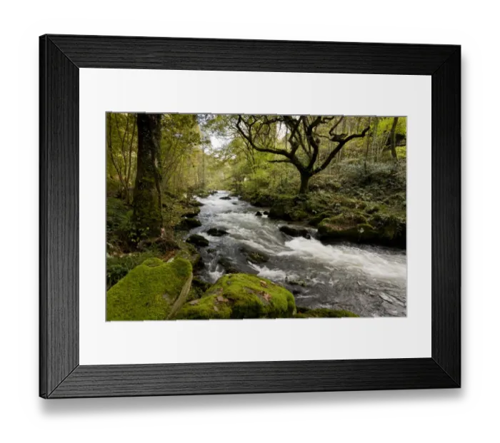 Framed Print : Rapids on river flowing through woodland habitat, River West Lyn, Brendon, Exmoor N. P. Devon, England, November Framed Print : Rapids on river flowing through woodland habitat, River West Lyn, Brendon, Exmoor N. P. Devon, England, November