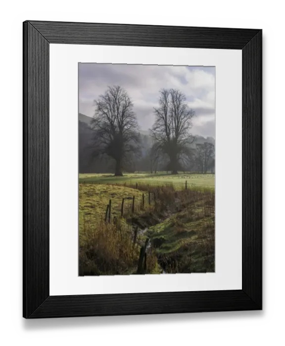 Framed Print : View of pasture and trees in mist, Whitewell, Clitheroe, Forest of Bowland, Lancashire, England, January Framed Print : View of pasture and trees in mist, Whitewell, Clitheroe, Forest of Bowland, Lancashire, England, January