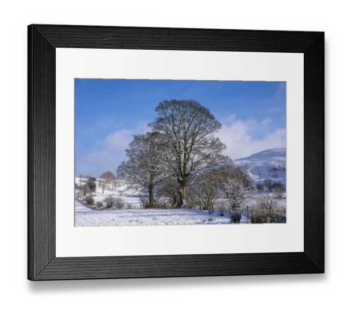 Framed Print : View of farmland and trees covered in snow, Dinkling Green, Whitewell, Clitheroe, Forest of Bowland, Lancashire Framed Print : View of farmland and trees covered in snow, Dinkling Green, Whitewell, Clitheroe, Forest of Bowland, Lancashire
