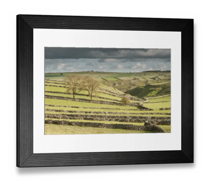 Framed Print : View of drystone walls and pasture, Dark Peak, Peak District N. P. Derbyshire, England, November