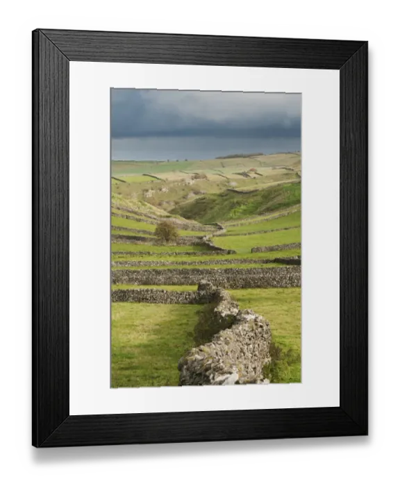 Framed Print : View of drystone walls and pastures, Litton, Peak District N. P. Derbyshire, England, October Framed Print : View of drystone walls and pastures, Litton, Peak District N. P. Derbyshire, England, October