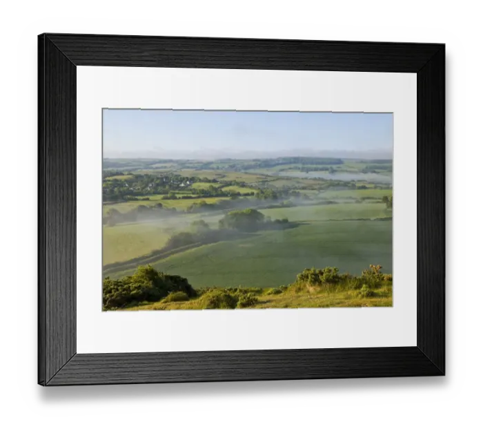 Framed Print : View of farmland with low lying mist over mixed pasture and arable fields, Corfe, Dorset, England, May Framed Print : View of farmland with low lying mist over mixed pasture and arable fields, Corfe, Dorset, England, May