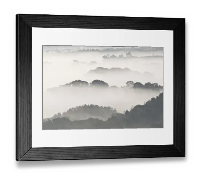 Framed Print : View of trees rising above low fog, Corfe, Dorset, England, May Framed Print : View of trees rising above low fog, Corfe, Dorset, England, May