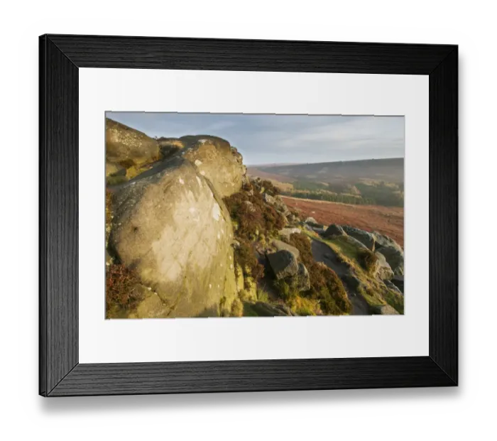 Framed Print : View of rocks and moorland habitat at sunrise, looking from Higger Tor towards Cowper Stone, Peak District N. P Framed Print : View of rocks and moorland habitat at sunrise, looking from Higger Tor towards Cowper Stone, Peak District N. P