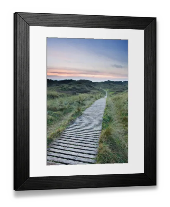Framed Print : Boardwalk across vegetated coastal sand dune habitat at sunset, part of South West Coast path, Braunton Burrows Framed Print : Boardwalk across vegetated coastal sand dune habitat at sunset, part of South West Coast path, Braunton Burrows