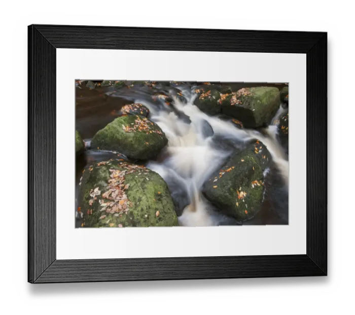Framed Print : Stream cascades flowing around rocks with fallen autumn leaves in woodland, Burbage Brook, Padley Gorge, Dark Peak Framed Print : Stream cascades flowing around rocks with fallen autumn leaves in woodland, Burbage Brook, Padley Gorge, Dark Peak