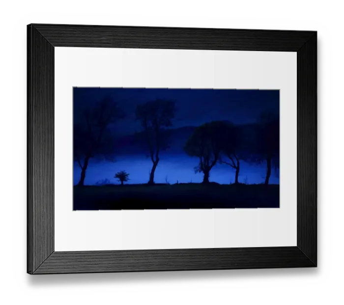 Framed Print : Trees silhouetted in rising mist at dusk, Northumberland, England, May Framed Print : Trees silhouetted in rising mist at dusk, Northumberland, England, May