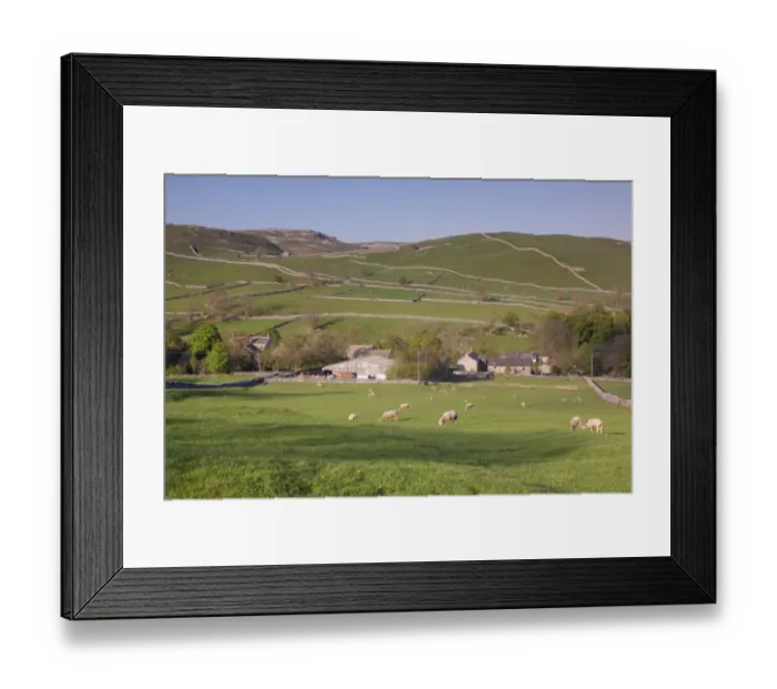 Framed Print : View above village with drystone walls on hillside and sheep grazing in pasture, Malham, Malhamdale Framed Print : View above village with drystone walls on hillside and sheep grazing in pasture, Malham, Malhamdale