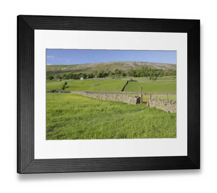 Framed Print : View of wildflower meadows, gate, footpath sign, drystone wall and hillside, Reeth, Swaledale, Yorkshire Dales N. P Framed Print : View of wildflower meadows, gate, footpath sign, drystone wall and hillside, Reeth, Swaledale, Yorkshire Dales N. P