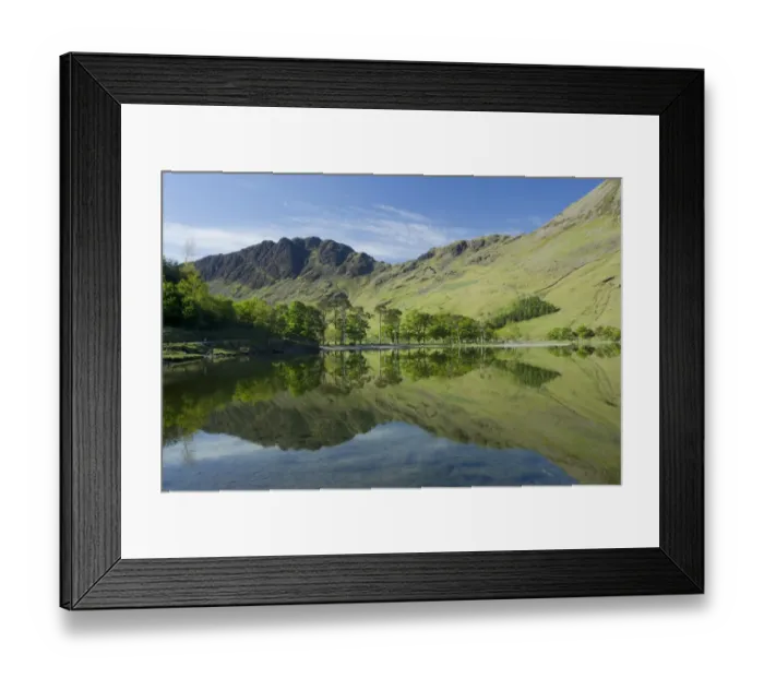 Framed Print : View of trees and fells reflected in lake, Buttermere, Lake District N. P. Cumbria, England, June Framed Print : View of trees and fells reflected in lake, Buttermere, Lake District N. P. Cumbria, England, June