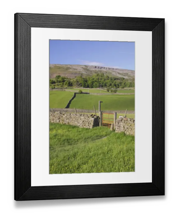 Framed Print : View of wildflower meadows, gate, footpath sign, drystone wall and hillside, Reeth, Swaledale, Yorkshire Dales N. P Framed Print : View of wildflower meadows, gate, footpath sign, drystone wall and hillside, Reeth, Swaledale, Yorkshire Dales N. P