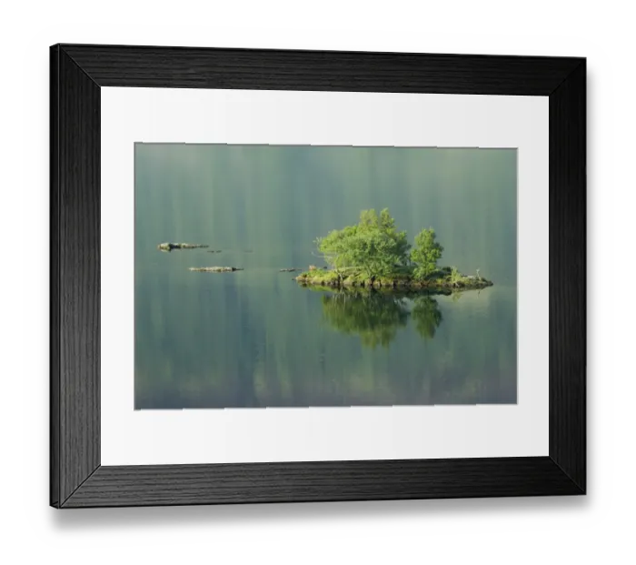 Framed Print : Trees growing on small island reflected in lake, Crummock Water, Lake District N. P. Cumbria, England, June Framed Print : Trees growing on small island reflected in lake, Crummock Water, Lake District N. P. Cumbria, England, June