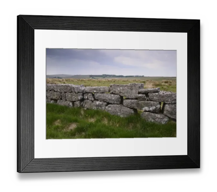 Framed Print : Drystone wall on moorland, Dartmoor, Devon, England, June Framed Print : Drystone wall on moorland, Dartmoor, Devon, England, June