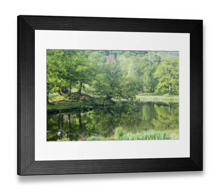 Framed Print : View of trees reflected in small lake, Lake District N. P. Cumbria, England, June
