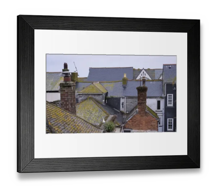 Framed Print : Slate roofs in seaside town with Herring Gulls (Larus argentatus), St. Ives, Cornwall, England, May