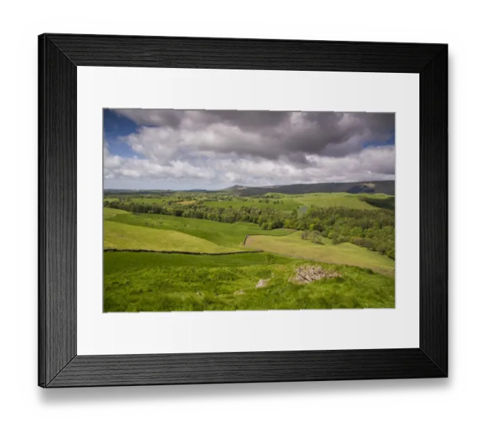Framed Print : View across valley landscape with cattle grazing in pasture, Hodder Valley, Forest of Bowland, Lancashire, England