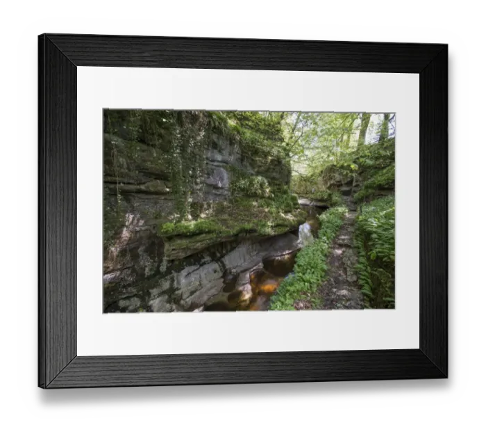 Framed Print : Gorge with stream, How Stean Gorge, Stean, Harrogate, Nidderdale, Yorkshire Dales, North Yorkshire, England, May Framed Print : Gorge with stream, How Stean Gorge, Stean, Harrogate, Nidderdale, Yorkshire Dales, North Yorkshire, England, May
