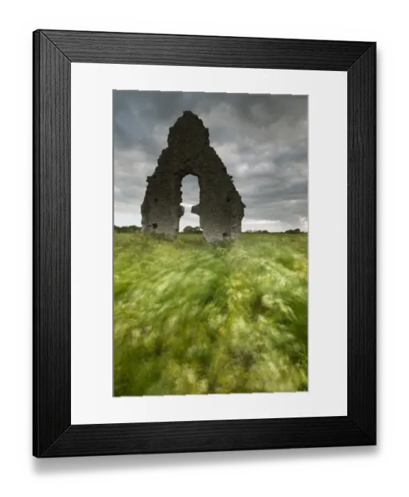 Framed Print : Church ruins and windblown vegetation, Midley Church, Romney Marsh, Kent, England, June Framed Print : Church ruins and windblown vegetation, Midley Church, Romney Marsh, Kent, England, June