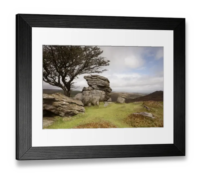 Framed Print : View of granite outcrop on moorland, with rain heading in over distant hills, Greator Rocks, Saddle Tor, Dartmoor N. P Framed Print : View of granite outcrop on moorland, with rain heading in over distant hills, Greator Rocks, Saddle Tor, Dartmoor N. P