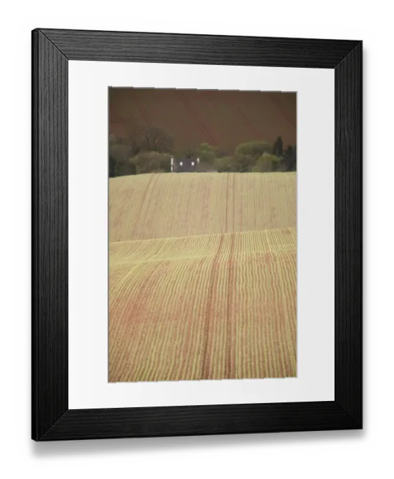Framed Print : Small cottage partly obscured by rolling hills with new spring crop, at bottom of Raddon Hills, near Tiverton, Devon Framed Print : Small cottage partly obscured by rolling hills with new spring crop, at bottom of Raddon Hills, near Tiverton, Devon