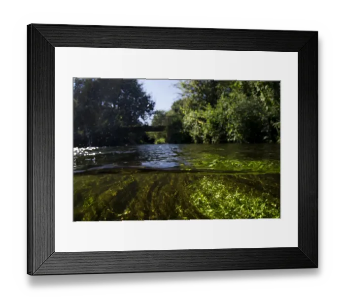 Framed Print : View of river from above and below surface of water, Fairham Brook, Nottingham, Nottinghamshire, England, August Framed Print : View of river from above and below surface of water, Fairham Brook, Nottingham, Nottinghamshire, England, August