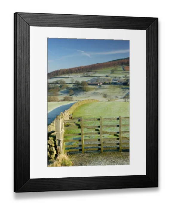 Framed Print : View of gate, drystone walls, trees and farm buildings on hillside, frosty morning, Barden, Wharfedale