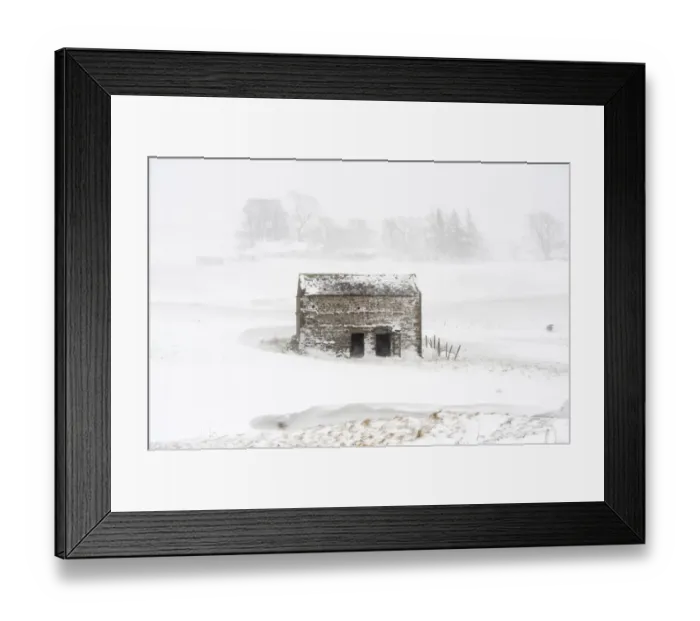 Framed Print : View of stone field barn during snowstorm, Cumbria, England, March Framed Print : View of stone field barn during snowstorm, Cumbria, England, March