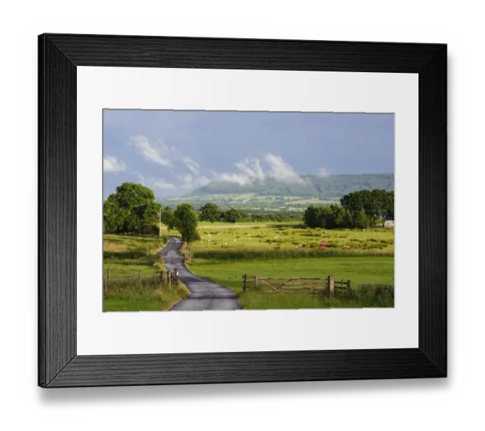 Framed Print : View of road through farmland with sheep flock grazing in pasture, looking towards Longridge Fell from Dinkling Green Framed Print : View of road through farmland with sheep flock grazing in pasture, looking towards Longridge Fell from Dinkling Green
