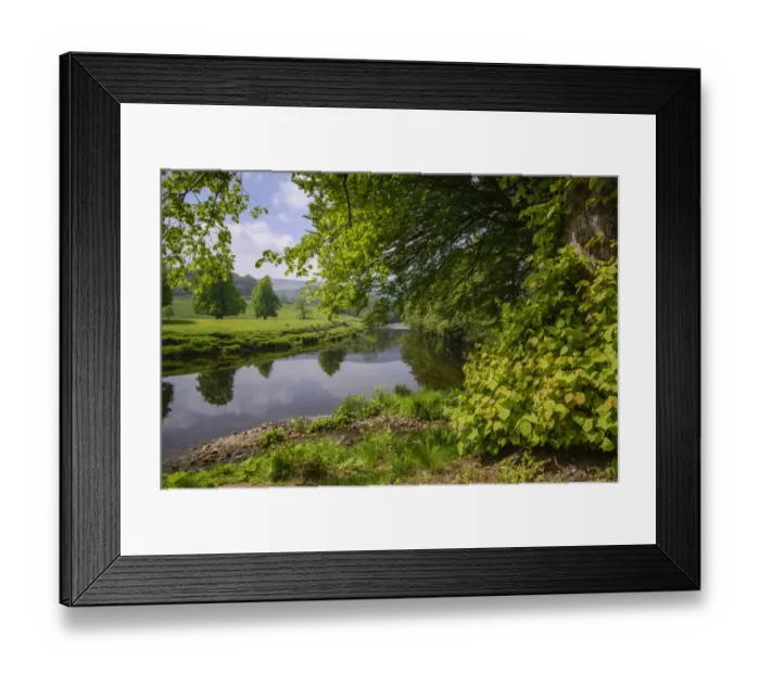 Framed Print : View of river and riverside trees, River Hodder, Whitewell, Forest of Bowland, Lancashire, England, June Framed Print : View of river and riverside trees, River Hodder, Whitewell, Forest of Bowland, Lancashire, England, June