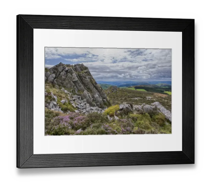 Framed Print : View of shattered rock on quartzite ridge and hill, Stiperstones, Shropshire, England, August Framed Print : View of shattered rock on quartzite ridge and hill, Stiperstones, Shropshire, England, August