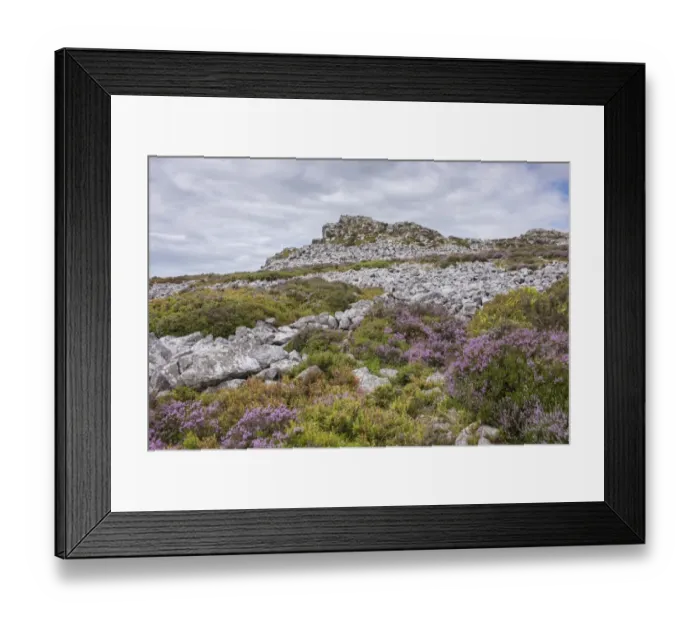 Framed Print : View of shattered rock on quartzite ridge and hill, Stiperstones, Shropshire, England, August
