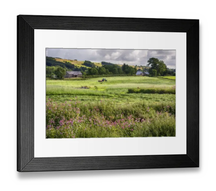 Framed Print : View of farmland with tractor mowing grass in field, near Chipping, Forest of Bowland, Lancashire, England, August Framed Print : View of farmland with tractor mowing grass in field, near Chipping, Forest of Bowland, Lancashire, England, August