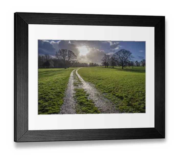 Framed Print : Muddy track through parkland, Leagram, Chipping, Lancashire, England, December Framed Print : Muddy track through parkland, Leagram, Chipping, Lancashire, England, December