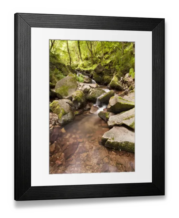 Framed Print : Stream cascading over rocks in woodland, East Water, Horner Wood National Nature Reserve, below Dunkery Beacon Framed Print : Stream cascading over rocks in woodland, East Water, Horner Wood National Nature Reserve, below Dunkery Beacon