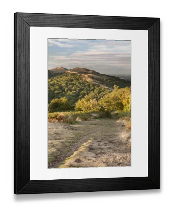 Framed Print : View across hills on early autumn evening, looking from Midsummer Hill, Malvern Hills, Worcestershire, England Framed Print : View across hills on early autumn evening, looking from Midsummer Hill, Malvern Hills, Worcestershire, England