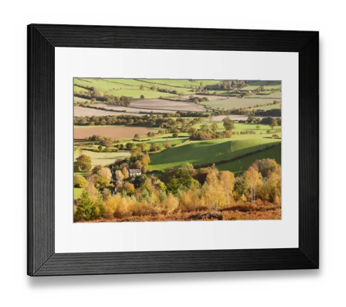 Framed Print : View across trees in autumn colour and mixed farmland, looking from Luccombe Plantation, near Webbers Post Framed Print : View across trees in autumn colour and mixed farmland, looking from Luccombe Plantation, near Webbers Post